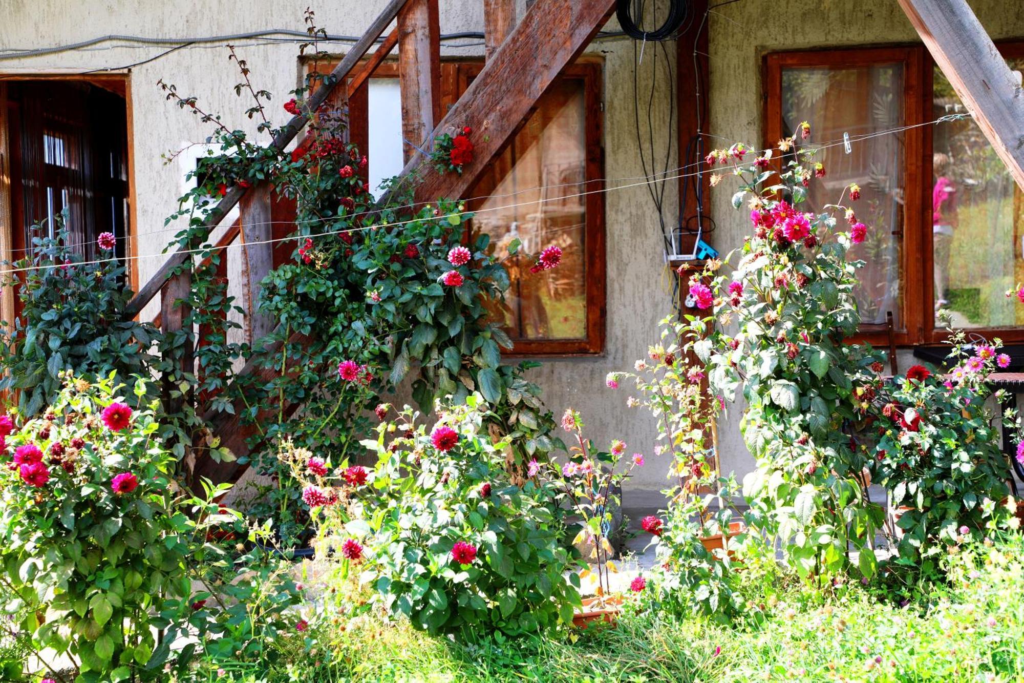 Nadia Guesthouse Mestia Exterior photo